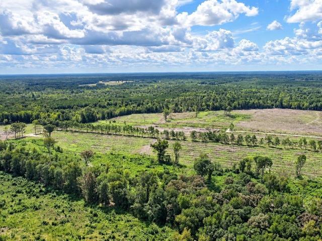 Land for sale in Greeleyville, South Carolina