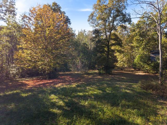 Land for sale in Fairview, Middle Tennessee
