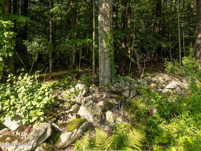 Land for sale in Town of New Lebanon, Columbia County