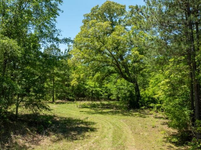 Land for sale in Wilkinson, Georgia