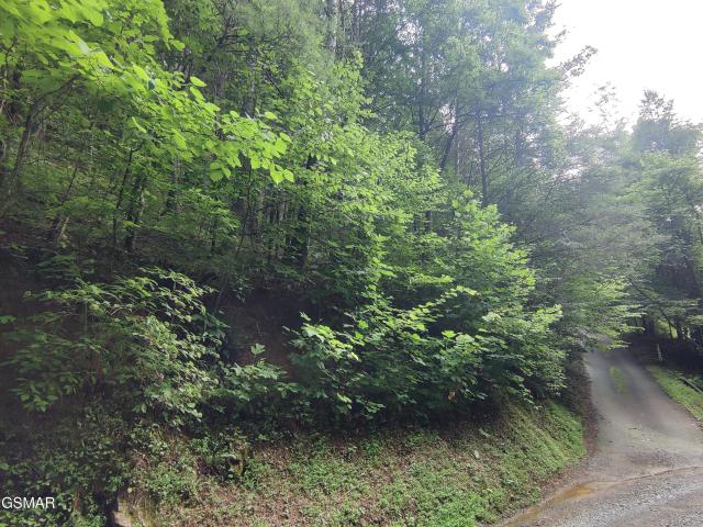 Land for sale in Tennessee