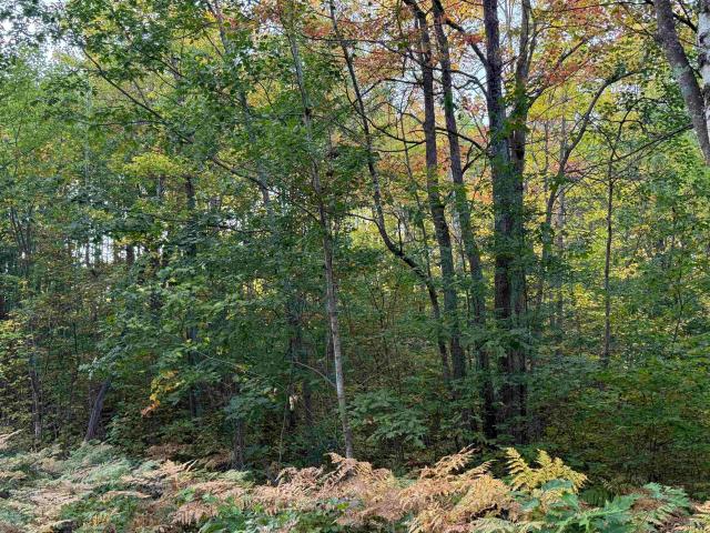 Land for sale in Iron River, Wisconsin