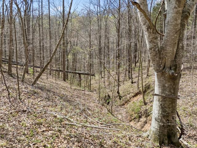 Land for sale in Tennessee