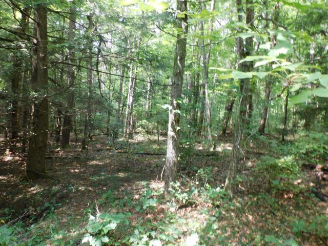 Farm for sale in Tennessee