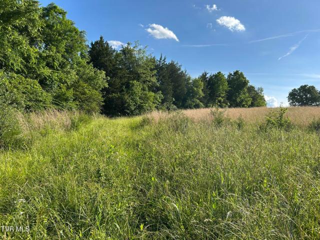 Land for sale in Tennessee