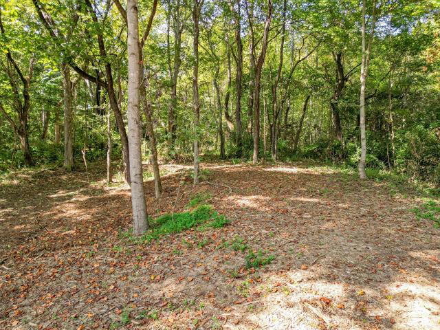 Land for sale in Tennessee