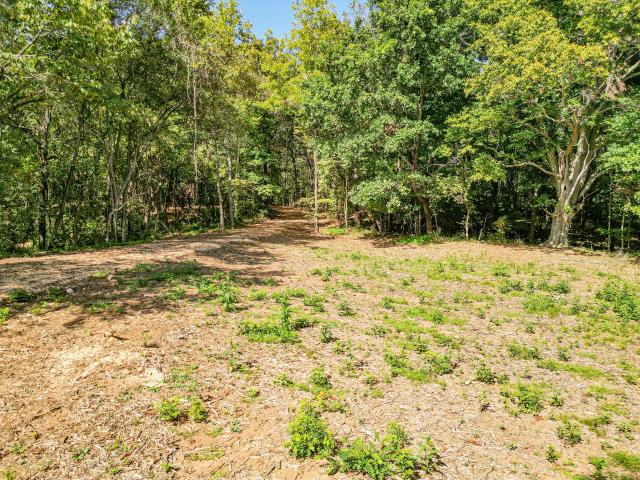 Land for sale in Tennessee