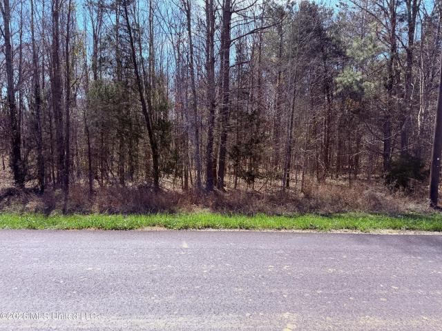 Land for sale in Edwards, Mississippi