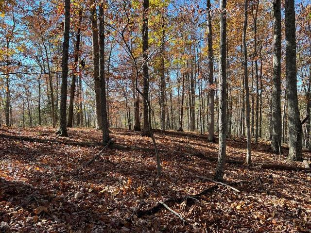 Land for sale in Tennessee