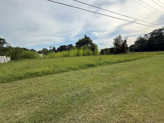 Land for sale in Ashford, Alabama