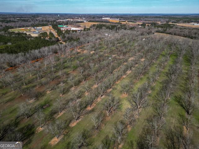 Land for sale in Schley, Georgia