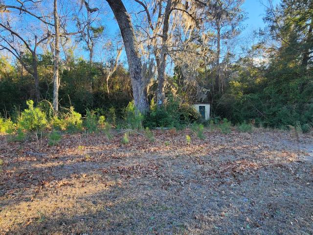 Land for sale in Eutawville, South Carolina