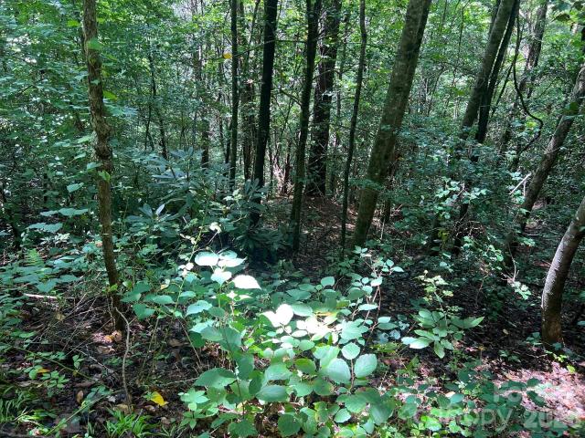 Land for sale in North Carolina