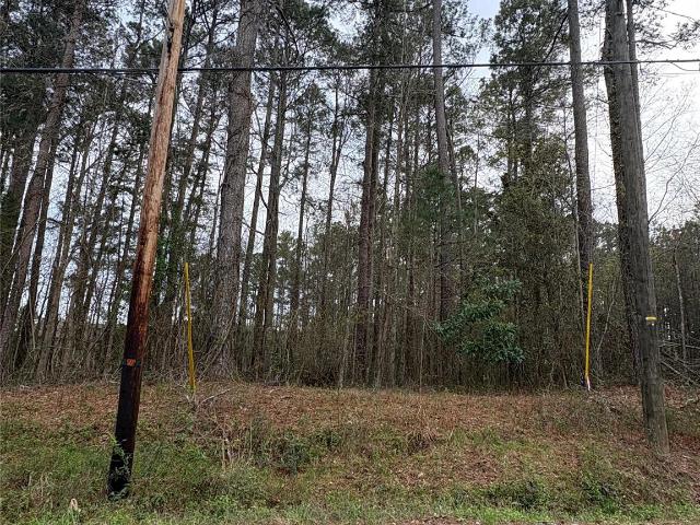 Land for sale in Wadesboro, North Carolina