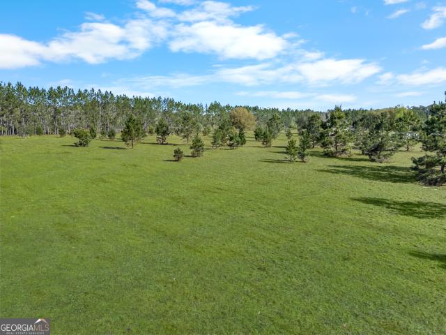 Land for sale in Guyton, Georgia