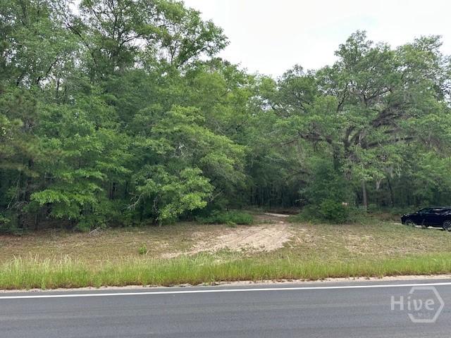 Land for sale in Screven, Georgia