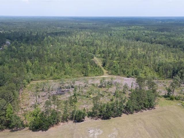 Land for sale in Guyton, Georgia