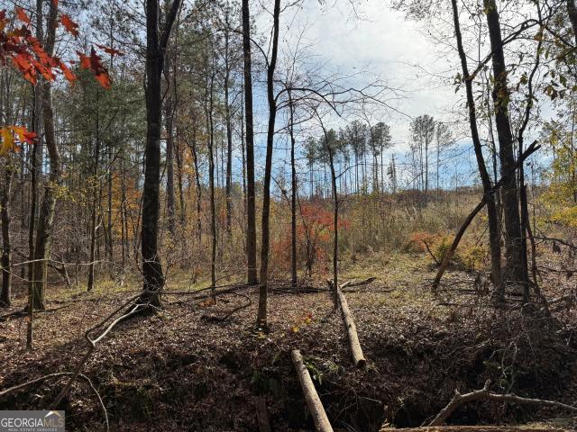 Land for sale in Elbert, Georgia