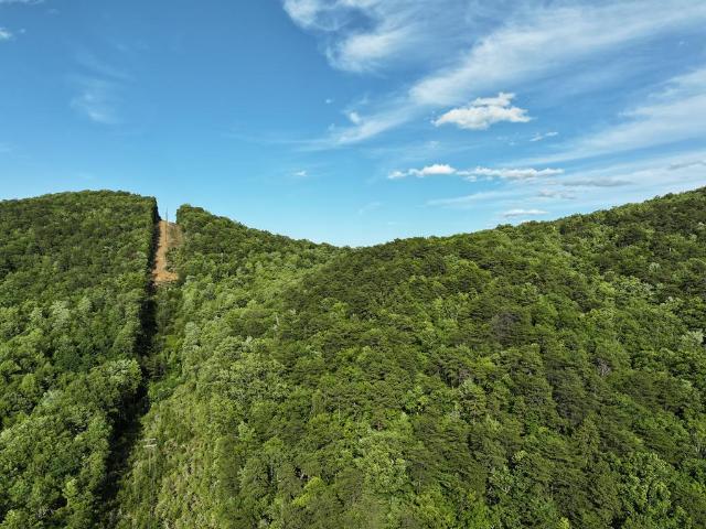 Land for sale in Virginia