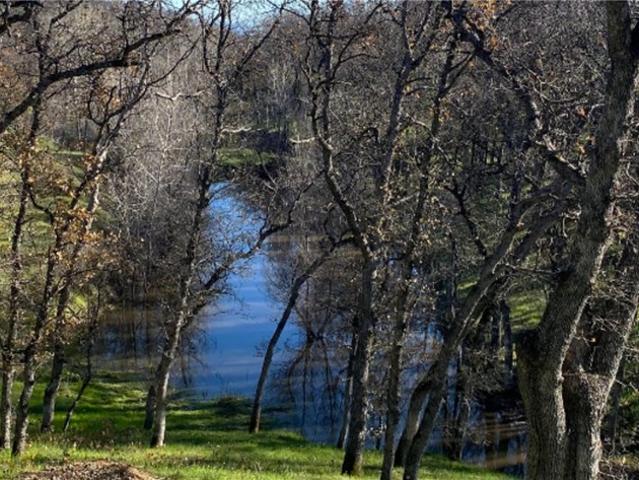 Land for sale in Red Bluff, California