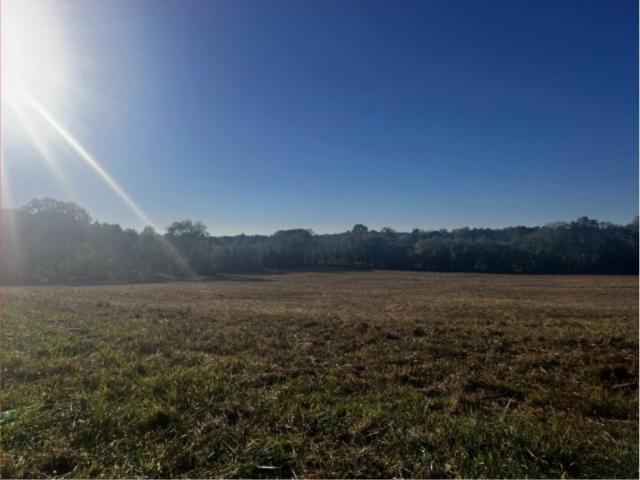 Land for sale in Tennessee