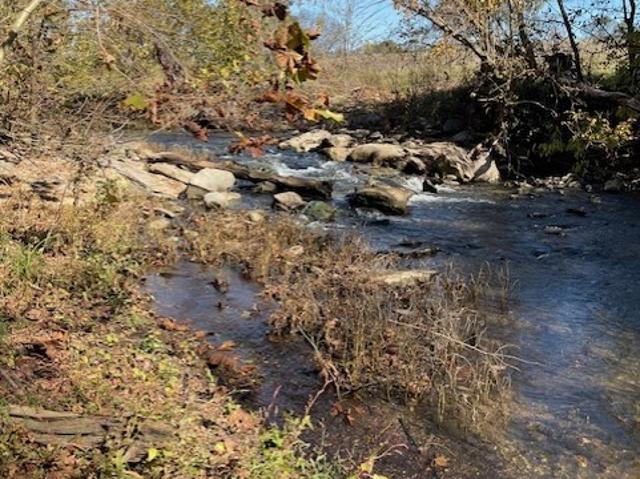 Land for sale in Tennessee