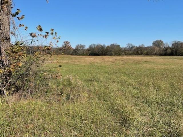 Land for sale in Tennessee