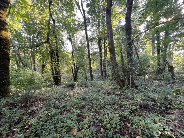 Land for sale in Castle Rock, Washington