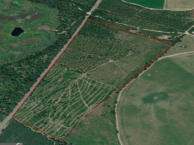Land for sale in Parker Courthouse, Climax