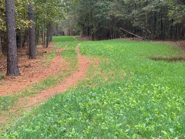 Land for sale in Benton, Louisiana