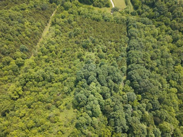 Land for sale in Kentucky