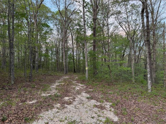 Land for sale in Nunnelly