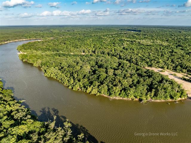Land for sale in Jesup, Georgia