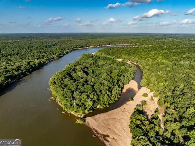 Land for sale in Jesup, Georgia