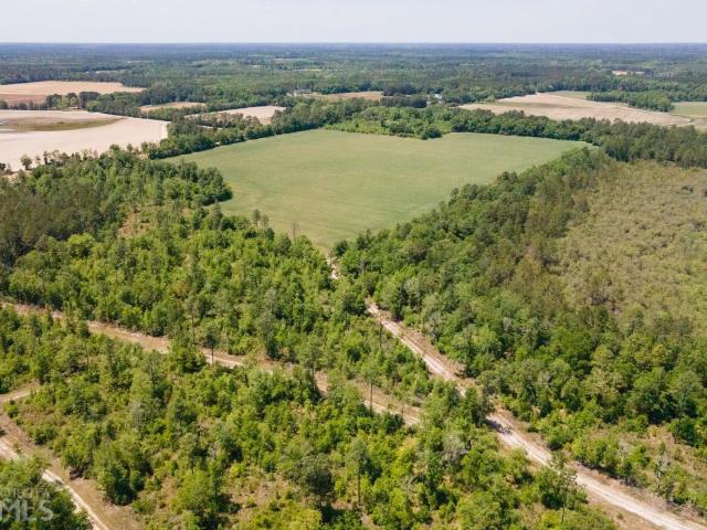Land for sale in Brooklet, Georgia