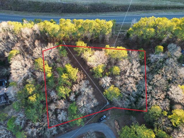 Land for sale in Alpine, Alabama