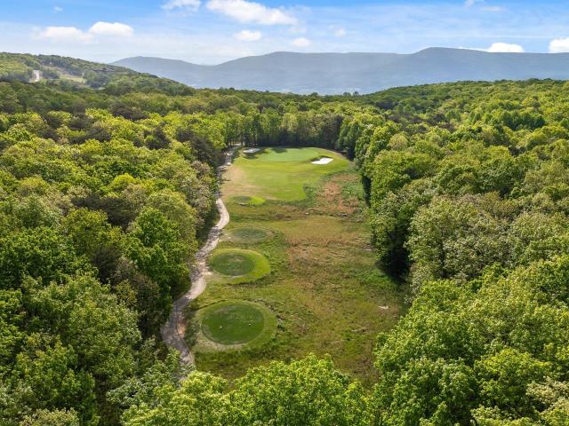 Land for sale in Menlo, Georgia