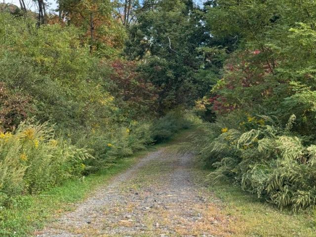 Commercial for sale in Pennsylvania