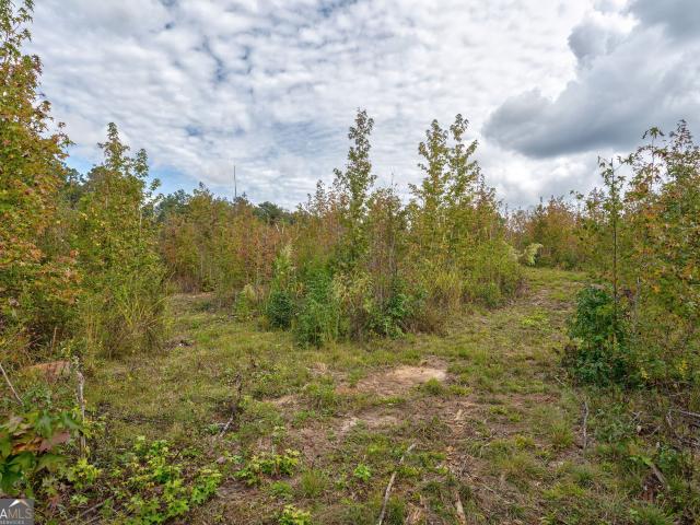 Land for sale in Oconee, Georgia