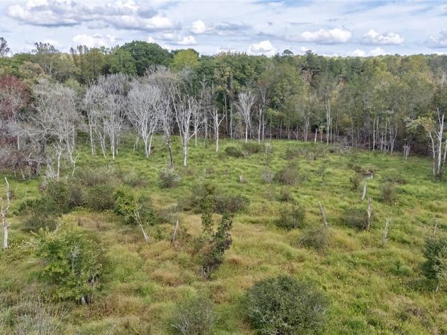 Land for sale in Oconee, Georgia