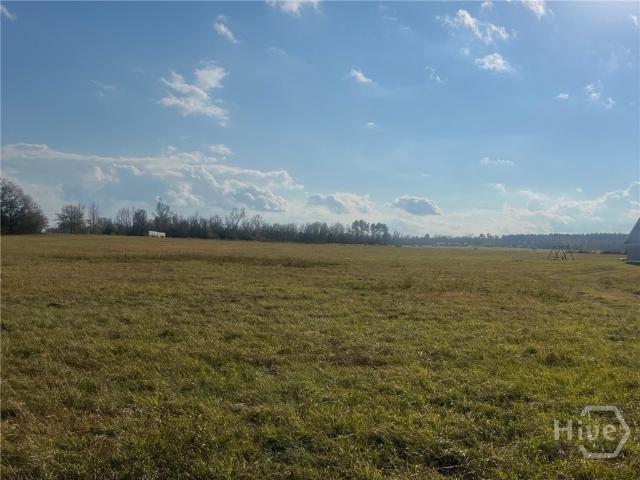 Land for sale in Millen, Georgia