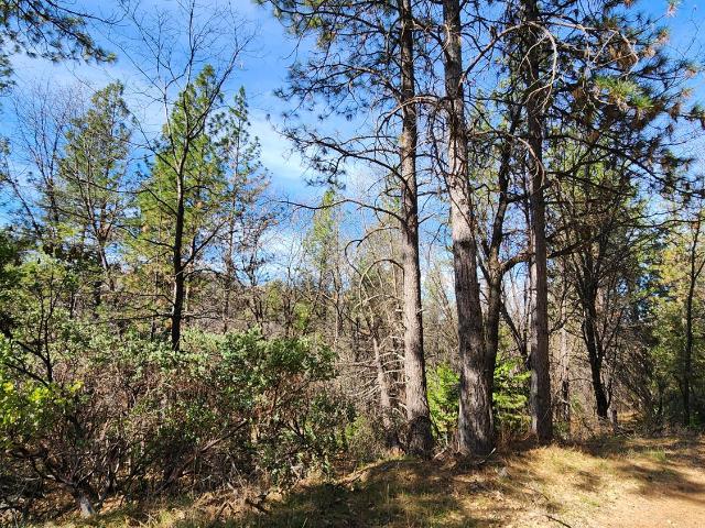 Land for sale in California
