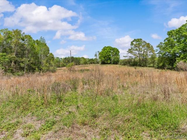 Land for sale in Opp, Alabama