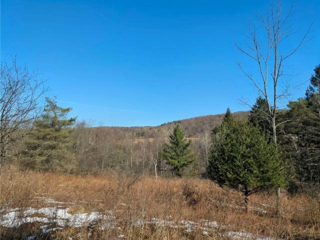 Land for sale in Brooktondale, New York