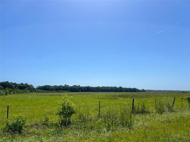 Land for sale in Sour Lake, Texas