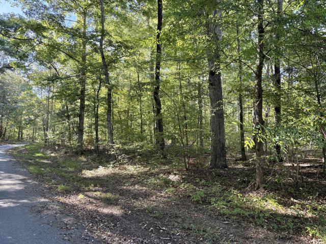 Land for sale in Spencers Mill, Burns