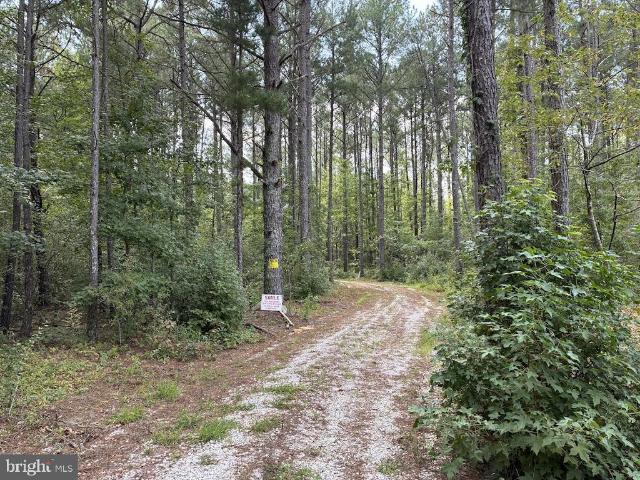 Land for sale in Snow Hill, Maryland