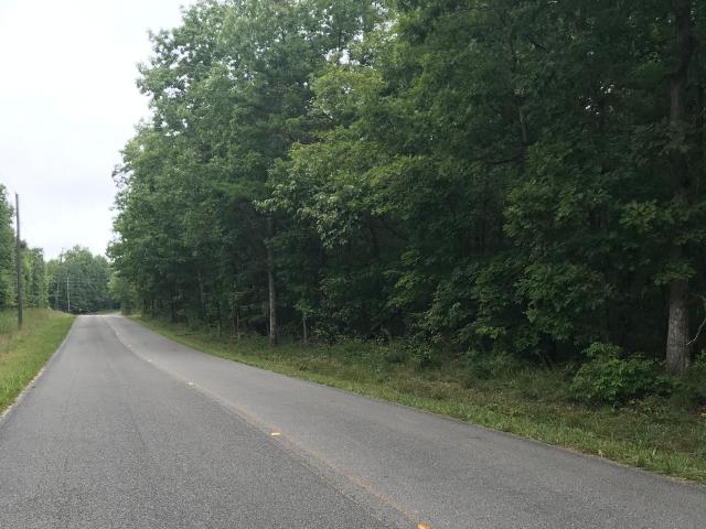 Land for sale in Menlo, Georgia