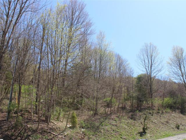 Land for sale in Amenia, New York
