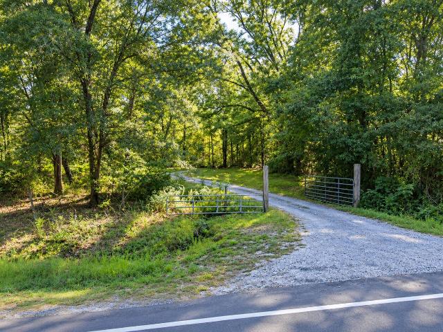 Land for sale in Surrency, Appling County